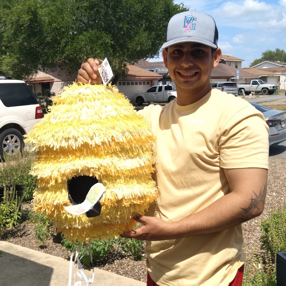 Custom Pull-string Beehive Gender Reveal Pinata